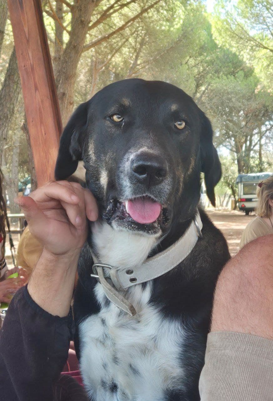 Booby enjoying the music